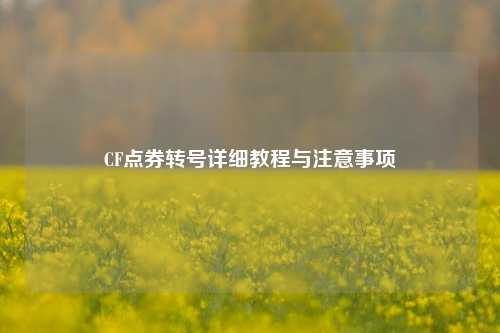 CF点券转号详细教程与注意事项
