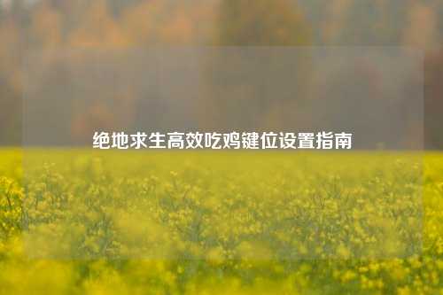 绝地求生高效吃鸡键位设置指南
