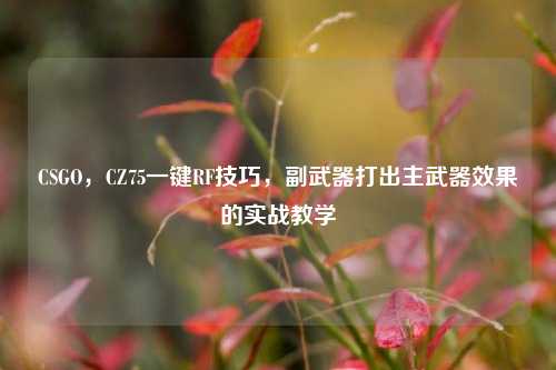 CSGO,CZ75一键RF技巧,副武器打出主武器效果的实战教学