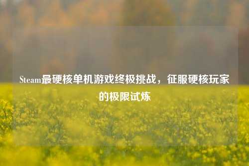 Steam最硬核单机游戏终极挑战,征服硬核玩家的极限试炼