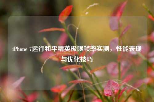 iPhone 7运行和平精英极限帧率实测,性能表现与优化技巧