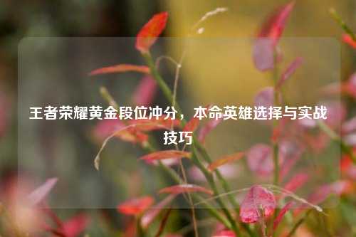 王者荣耀黄金段位冲分,本命英雄选择与实战技巧