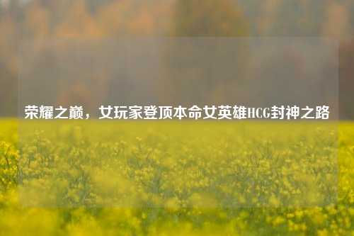 荣耀之巅,女玩家登顶本命女英雄HCG封神之路