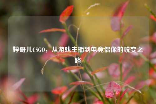 婷哥儿CSGO,从游戏主播到电竞偶像的蜕变之路