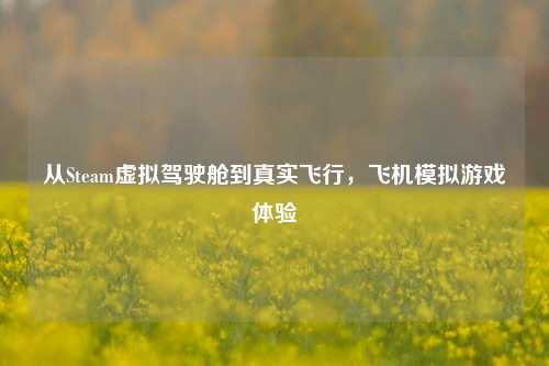 从Steam虚拟驾驶舱到真实飞行,飞机模拟游戏体验