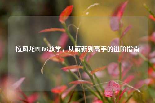 拉风龙PUBG教学,从萌新到高手的进阶指南