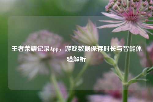 王者荣耀记录App,游戏数据保存时长与智能体验解析