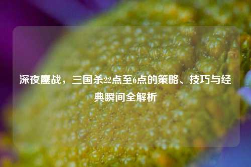 深夜鏖战,三国杀22点至6点的策略、技巧与经典瞬间全解析