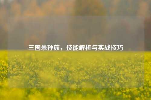 三国杀孙茹,技能解析与实战技巧