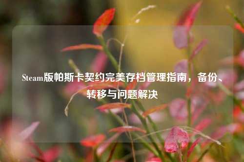 Steam版帕斯卡契约完美存档管理指南,备份、转移与问题解决