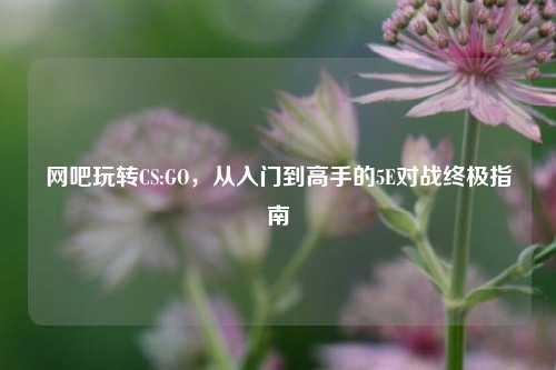 网吧玩转CS:GO,从入门到高手的5E对战终极指南