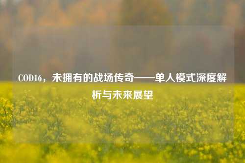 COD16,未拥有的战场传奇——单人模式深度解析与未来展望
