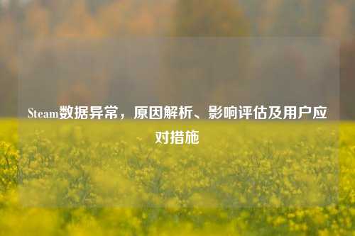 Steam数据异常,原因解析、影响评估及用户应对措施