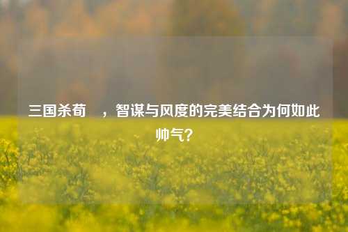 三国杀荀彧,智谋与风度的完美结合为何如此帅气?