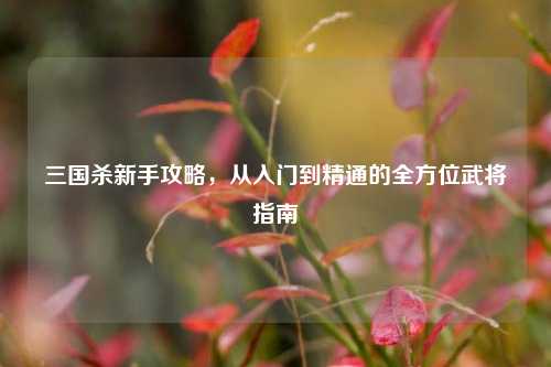 三国杀新手攻略,从入门到精通的全方位武将指南