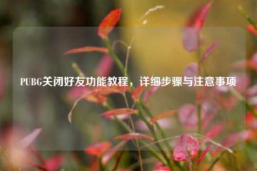 PUBG关闭好友功能教程,详细步骤与注意事项