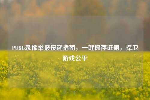 PUBG录像举报按键指南,一键保存证据,捍卫游戏公平