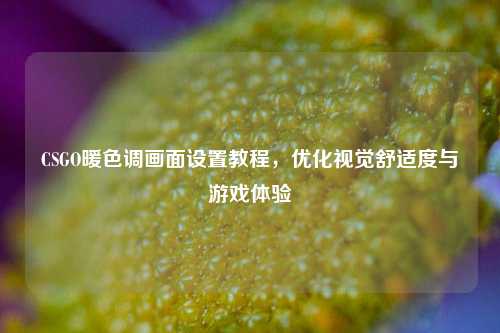 CSGO暖色调画面设置教程,优化视觉舒适度与游戏体验