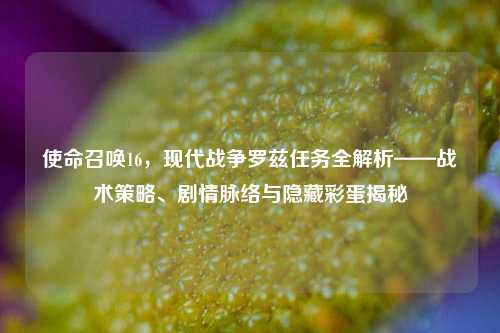 使命召唤16,现代战争罗兹任务全解析——战术策略、剧情脉络与隐藏彩蛋揭秘