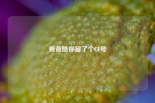 爸爸给你留了个CF号