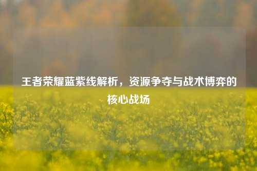 王者荣耀蓝紫线解析,资源争夺与战术博弈的核心战场