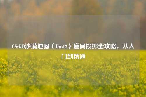 CS:GO沙漠地图(Dust2)道具投掷全攻略,从入门到精通