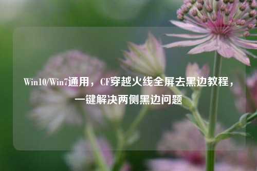 Win10/Win7通用,CF穿越火线全屏去黑边教程,一键解决两侧黑边问题