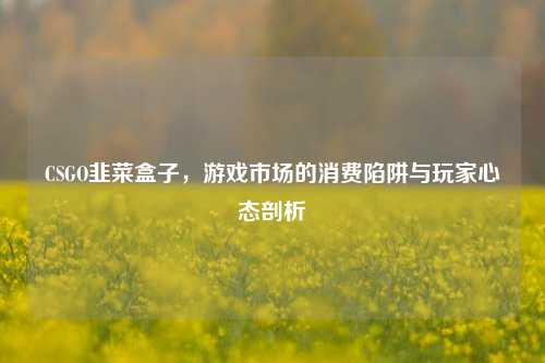 CSGO韭菜盒子,游戏市场的消费陷阱与玩家心态剖析