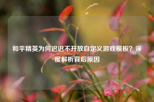 和平精英为何迟迟不开放自定义游戏模板?深度解析背后原因
