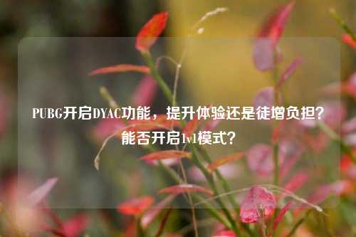 PUBG开启DYAC功能,提升体验还是徒增负担?能否开启1v1模式?