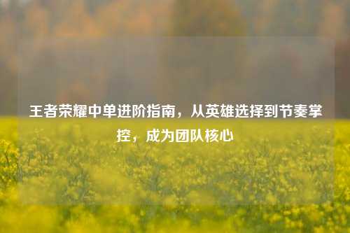 王者荣耀中单进阶指南,从英雄选择到节奏掌控,成为团队核心