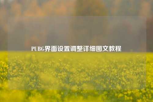 PUBG界面设置调整详细图文教程