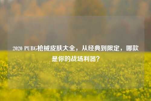 2020 PUBG枪械皮肤大全,从经典到限定,哪款是你的战场利器?