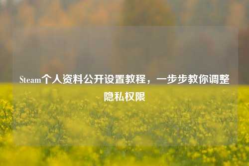 Steam个人资料公开设置教程,一步步教你调整隐私权限