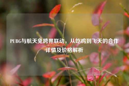 PUBG与航天兔跨界联动,从吃鸡到飞天的合作详情及价格解析