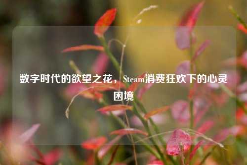 数字时代的欲望之花,Steam消费狂欢下的心灵困境