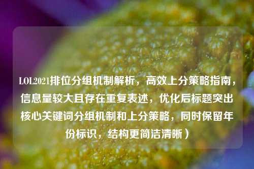 LOL2021排位分组机制解析,高效上分策略指南,信息量较大且存在重复表述,优化后标题突出核心关键词分组机制和上分策略,同时保留年份标识,结构更简洁清晰)