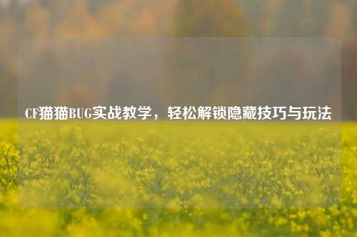 CF猫猫BUG实战教学,轻松解锁隐藏技巧与玩法