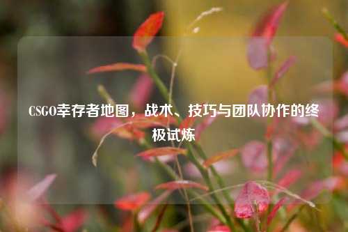 CSGO幸存者地图,战术、技巧与团队协作的终极试炼