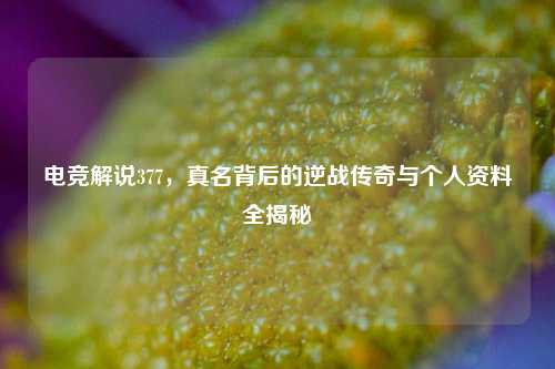 电竞解说377,真名背后的逆战传奇与个人资料全揭秘