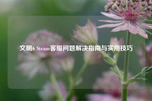 文明6 Steam客服问题解决指南与实用技巧