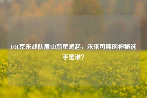 LOL京东战队眉山新星崛起,未来可期的神秘选手是谁?