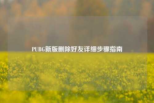 PUBG新版删除好友详细步骤指南