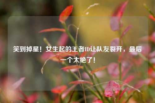 笑到掉星!女生起的王者ID让队友裂开,最后一个太绝了!