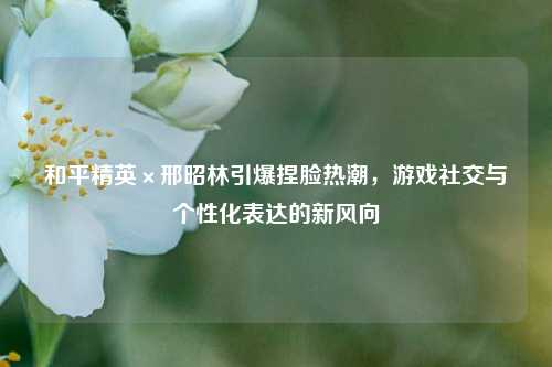 和平精英×邢昭林引爆捏脸热潮,游戏社交与个性化表达的新风向