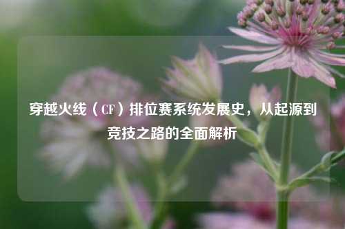穿越火线(CF)排位赛系统发展史,从起源到竞技之路的全面解析