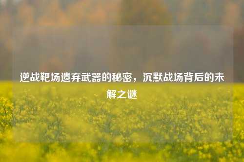 逆战靶场遗弃武器的秘密,沉默战场背后的未解之谜