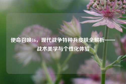 使命召唤16,现代战争特种兵皮肤全解析——战术美学与个性化体验