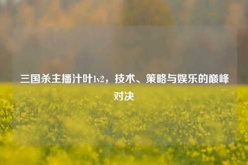 三国杀主播汁叶1v2,技术、策略与娱乐的巅峰对决