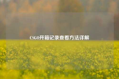 CSGO开箱记录查看方法详解